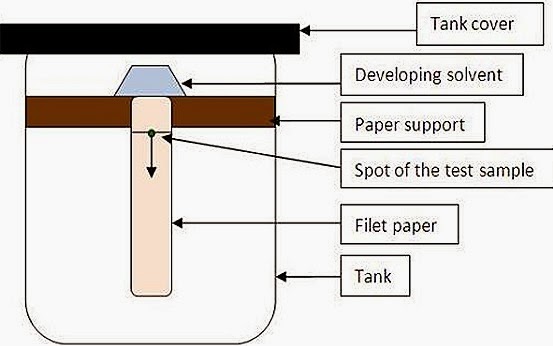 descending-paper-chromatography-thumb-9-.jpg