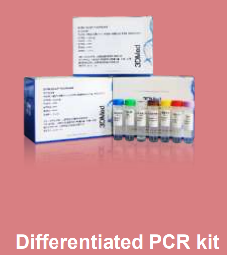 differentiation pcr