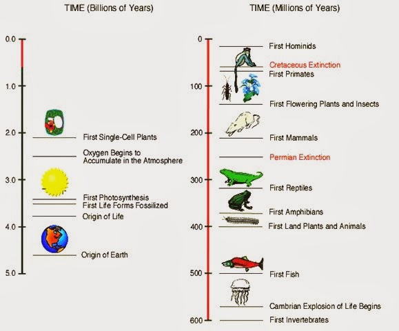 origin-of-life-evolution-thumb-19-.jpg