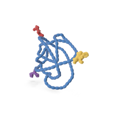 [AMS.HKD-BC41] Biotinylated Hyaluronan Binding protein (b-HABP ...