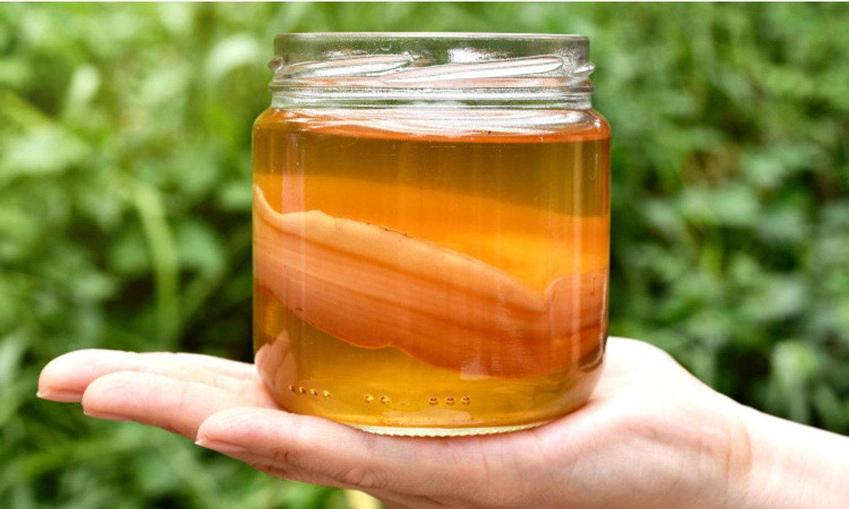 DIY Kombucha Tea For A Healthier Body