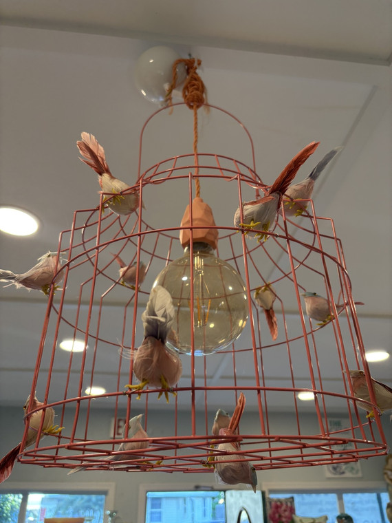Pink Bird Cage Light