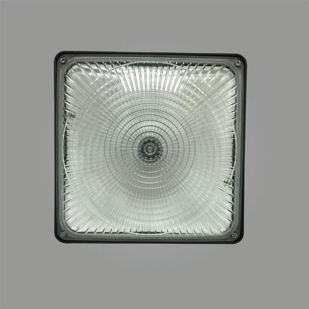 LED Canopy Lights Milky Lens (Available in: 50w & 75w 50k) - CP01A Series