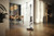 Miele Triflex HX1 Facelift Vacuum In Lotus White