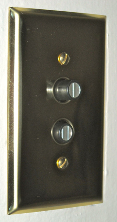 Single Gang Pushbutton Switch Plate in Polished Brass