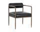 Buy Ajani Dining Armchair in Houston | Dining Room | BeBoldFurniture