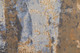 39K6F Blue/Tan Rug | BeBoldFurniture