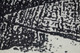 8927F Black/White Rug | BeBoldFurniture