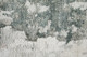 69DUF Ivory/Green Rug | BeBoldFurniture