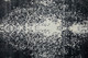 8930F Black/White Rug | BeBoldFurniture