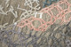 6890F Multi Rug | BeBoldFurniture