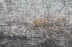 C6013 Charcoal Rug | BeBoldFurniture