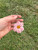 Custom Flower Keychain | Crochet Flower Keychain