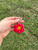 Custom Flower Keychain | Crochet Flower Keychain