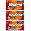 Beldent Infinit Chewing Gum Citrus Flavor with Fresh Sparks, 13.3 g / 0.46 oz (pack of 3)