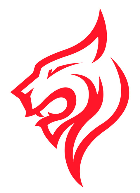 CZ Shadow 2 G10 Grips - One Side Only