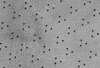 Tri Star Perforation
