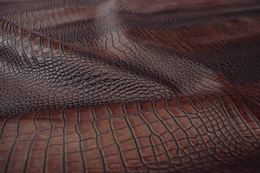 Mahogany Caiman