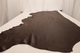 Half Hide: 32 Sq. Ft.