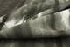 Close up picture of black and white premium suede for upholstery