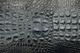 K1434 Indigo Croc