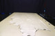 Lot #9 - Approx 28 sq ft