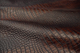 Mahogany Caiman