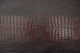 Mahogany Caiman
