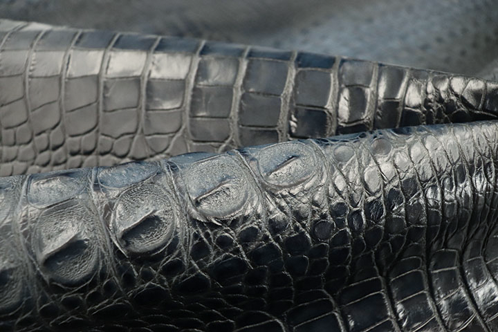 K1434 Indigo Croc