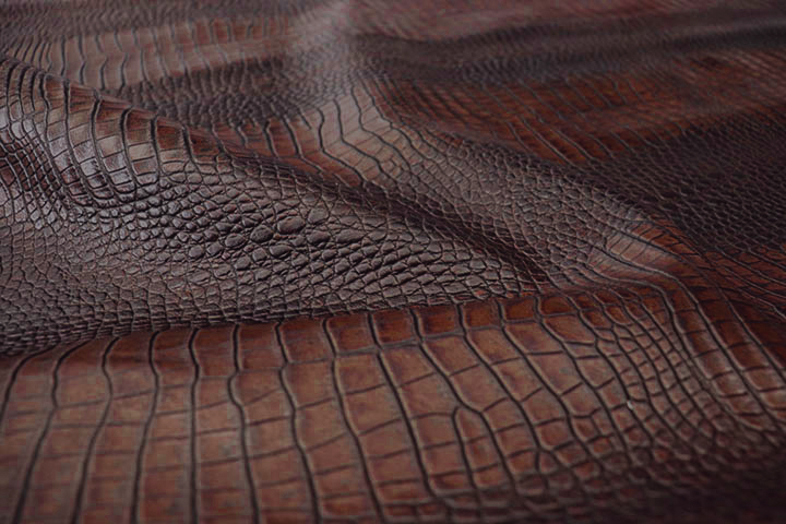 Mahogany Caiman