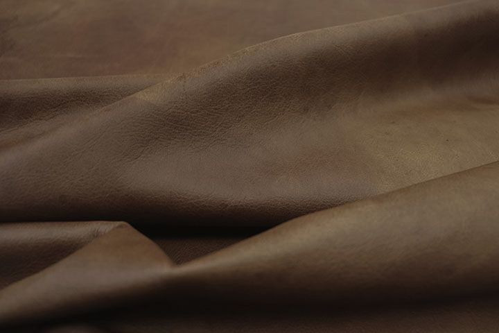 Cocoa Distress