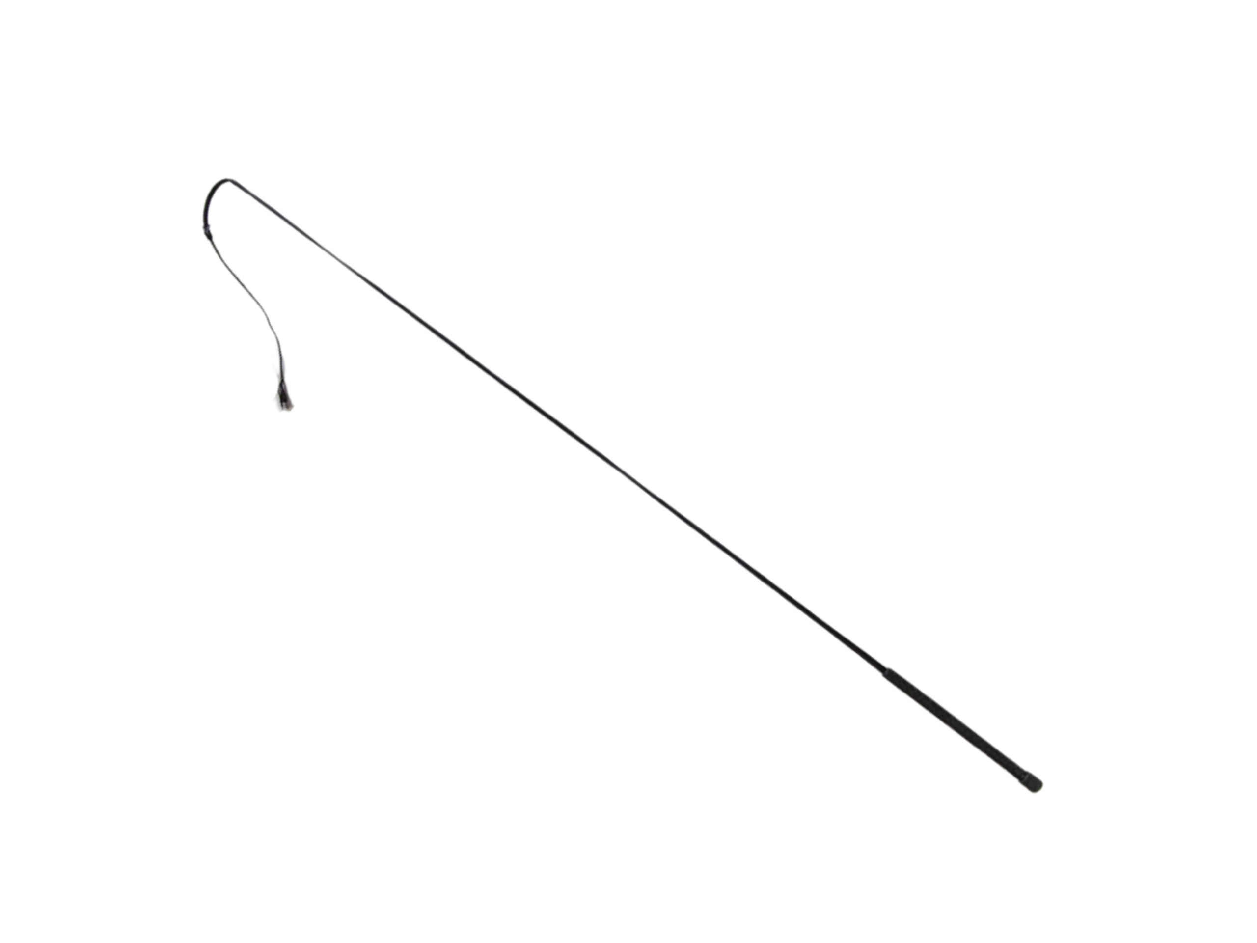 Buggy Whip Hansen Wheel and Wagon Shop