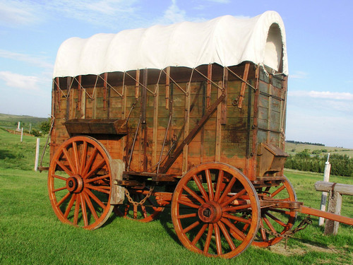 Freight Wagon - Custom