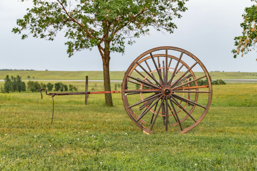 Hose Cart