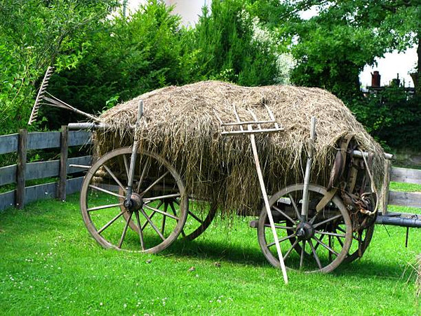 Hay Rack Wagon