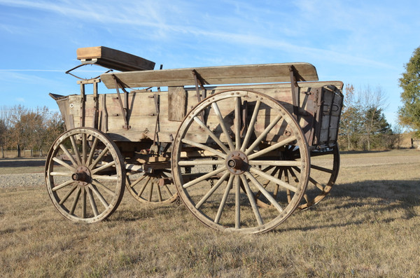 M1908 WWI 4 Mule Army Escort Wagon