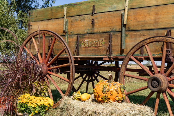 Buckeye Triple Box Wagon With International Gear