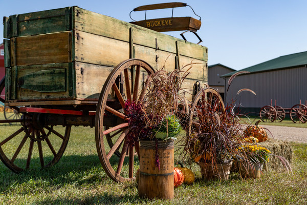 Buckeye Triple Box Wagon With International Gear