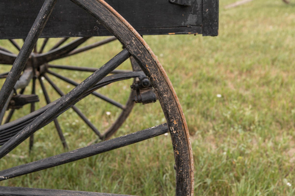 3 Seat Spring Wagon