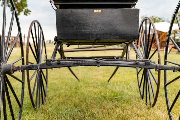 Skeleton Wagon/Buggy