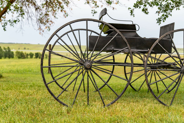 Skeleton Wagon/Buggy