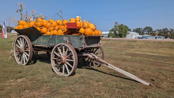 Buckeye Wagon with Triumph Gear - Sold