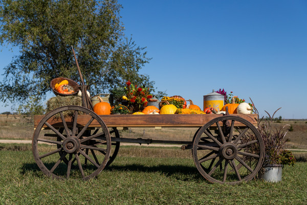 HWWS Display Wagon