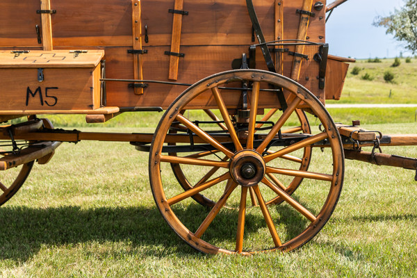 Covered Wagon