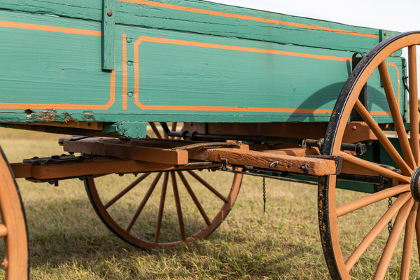 One Horse Wagon