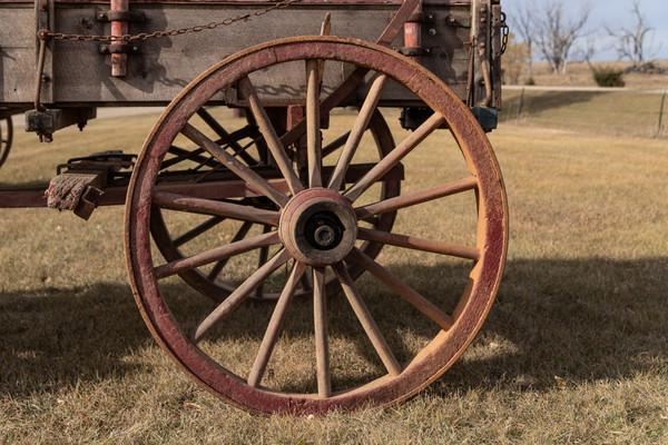 Heavy Hauler Peter Schuttler Lynch Pin Wagon