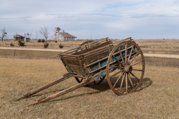 Dump Cart