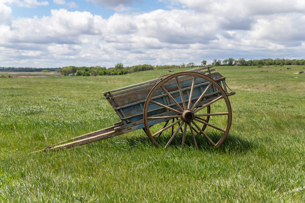 Dump Cart