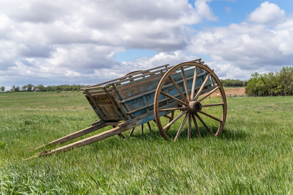 Dump Cart