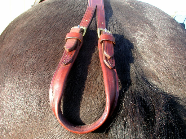 Concord Stagecoach Harness